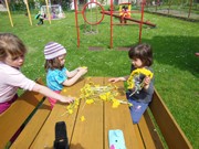 Pleteme věnečky z pampelišek